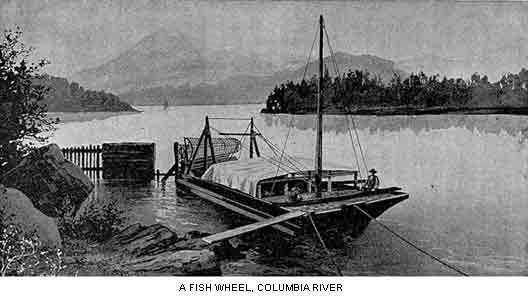 A FISH WHEEL, COLUMBIA RIVER