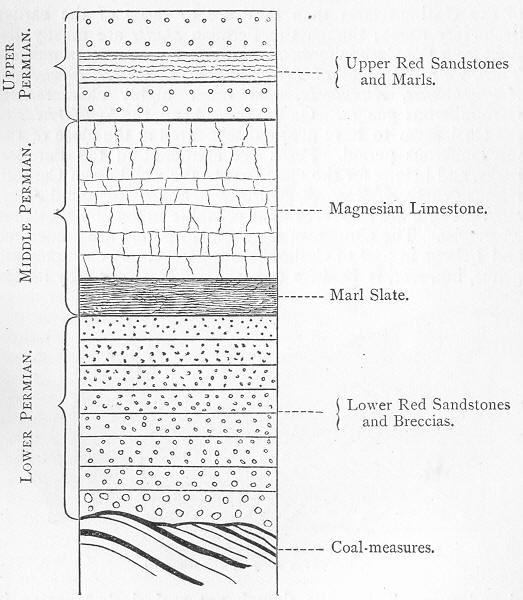 Fig. 133