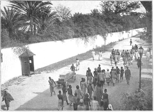 Chain-gangs of Petty Offenders Outside of Zanzibar.