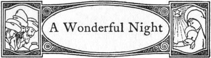 [Illustration: A Wonderful Night]