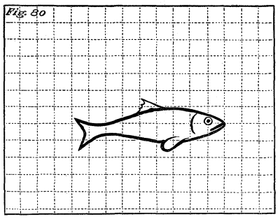 Figure 80: A minnow.