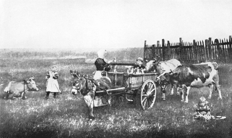 A GERMAN MILK WAGON.