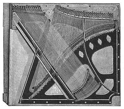 FIG. 179.—Piano wires seen from the back.