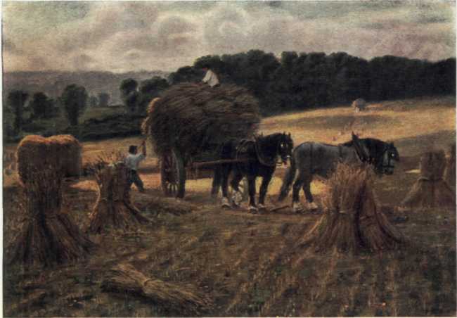 HARVESTING IN HERTFORDSHIRE.