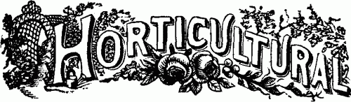 HORTICULTURAL