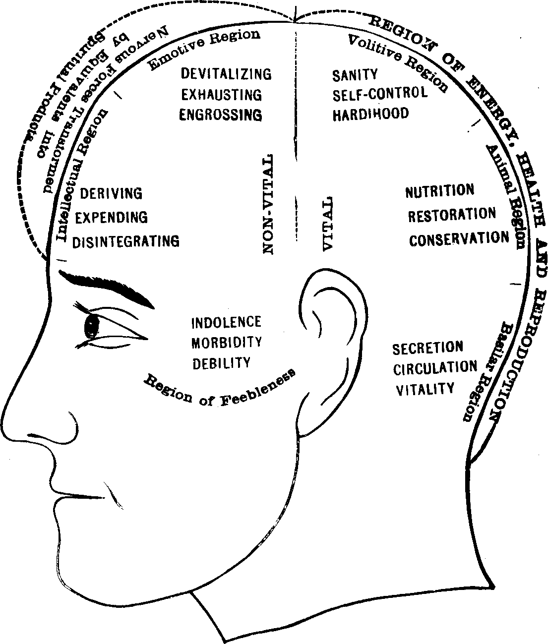 Illustration:
Fig. 79