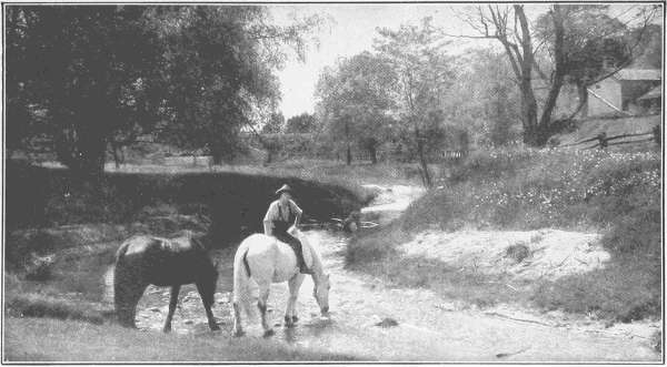 WATERING THE HORSES