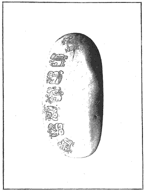 PL. LXIX SHELL BEARING MAYA GLYPHS
This shell, on which are engraved seven Maya hieroglyphs, was found in
Belize and courteously sent to the Bureau of American Ethnology by Sir
Alfred Moloney, Governor of British Honduras. The shell is here figured
for the purpose of placing it before students of Central American
paleography.