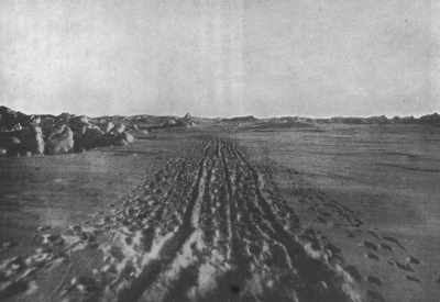 TYPICAL TRAIL IN SOFT SNOW (LOOKING BACKWARD)