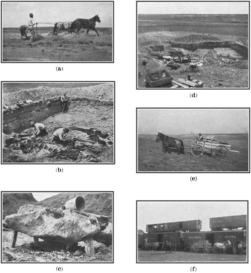 Fig. 45.: Collecting Dinosaurs at Bone-Cabin
Quarry.