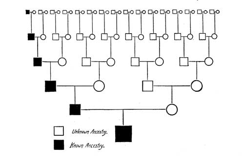 LINE OF ASCENT THAT CARRIES THE FAMILY NAME