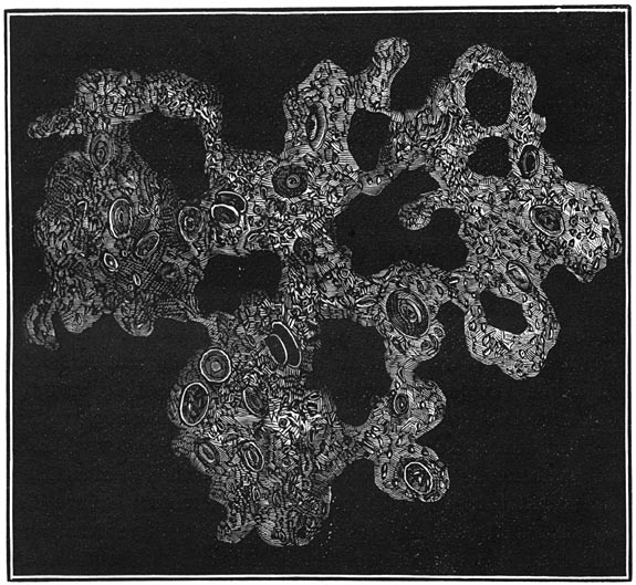 Fig. 27. De oorsprong van het leven. Protoplasma, uit de diepten der zee opgedolven.