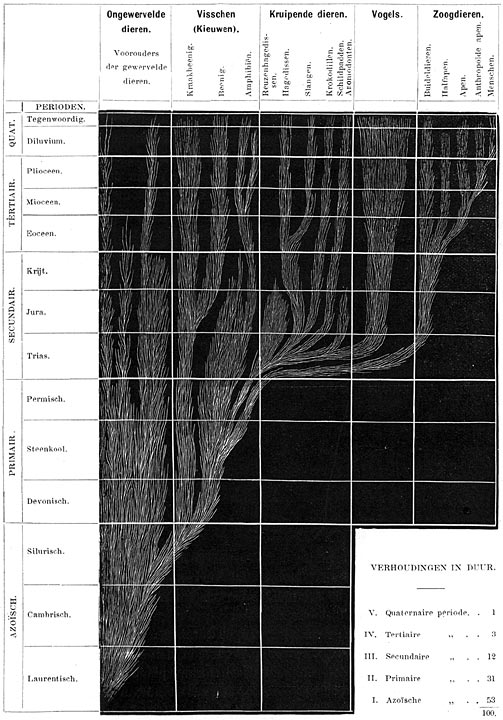 De ontwikkeling van het dierenrijk in verband met de opvolging der geologische perioden.