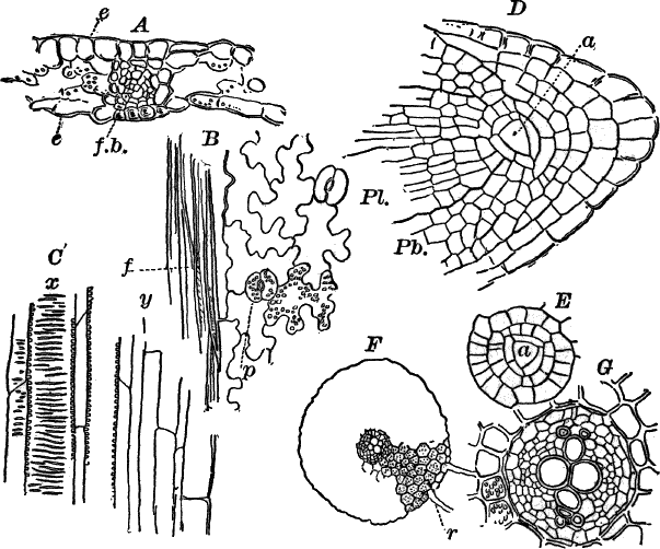 Fig. 68.