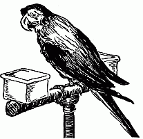 Poll Parrot