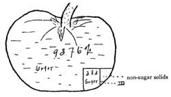 Fig. 11.