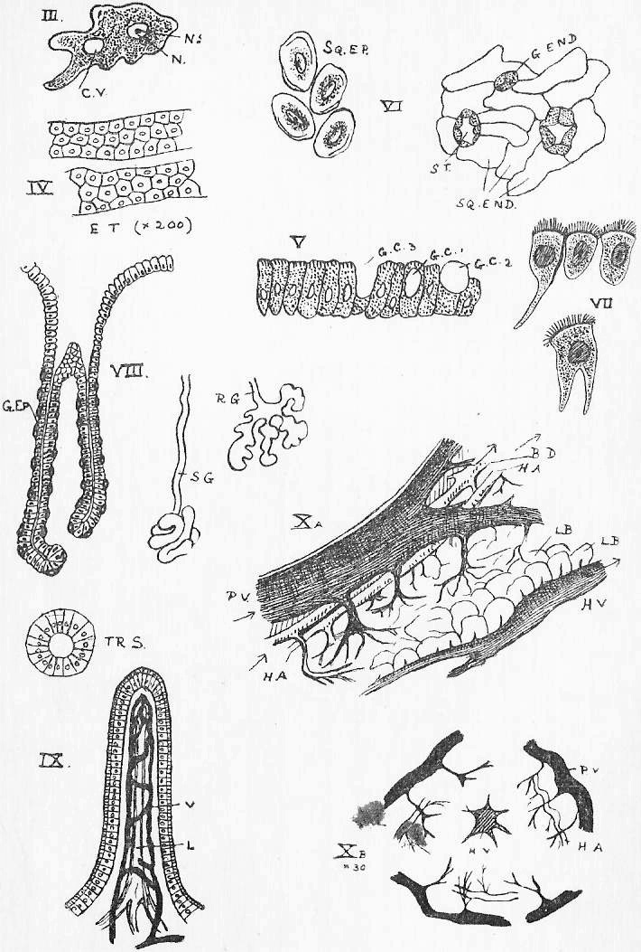 Sheet 3, 2nd