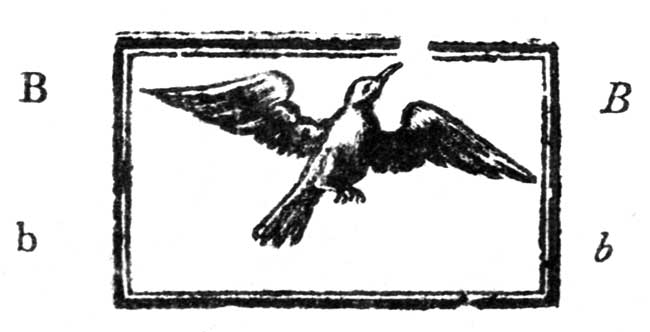 Little birds can fly very fast—They do no harm; why should little boys delight to injure them?