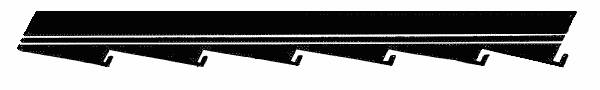 Fig. 281—Parallel lines of different width; serrate margin