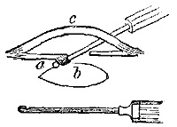 Fig. xiv.