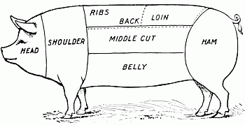 Cuts of pork