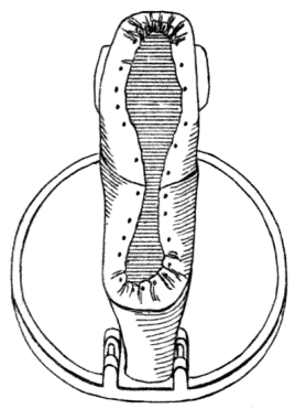 Crimps at toe and heel