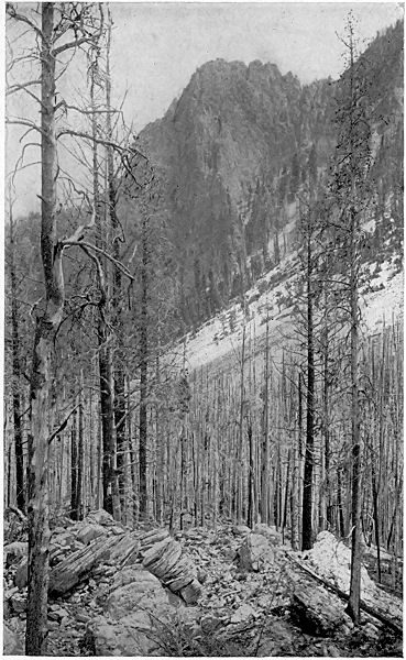 VIEW IN THE NORTHWESTERN MOUNTAINS.