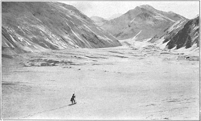 The Muldrow Glacier. Karstens in the foreground.