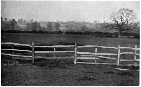 Posts and rails fence