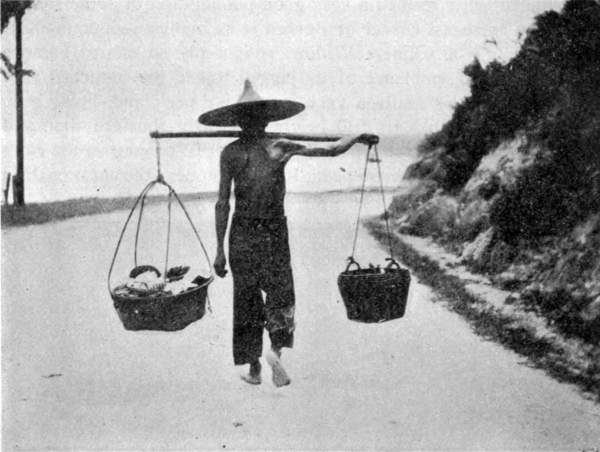 CHINO CARRIER, SANDAKAN.