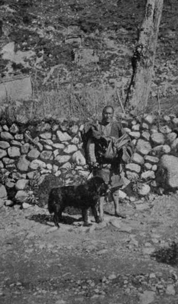 LAMA AND DOG AT TACHIENLU