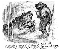 CROAK CROAK CROAK Was All He Could Say