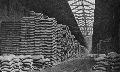 Green Coffee Stored on the Docks at Havre, France