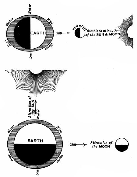 Fig. 114.