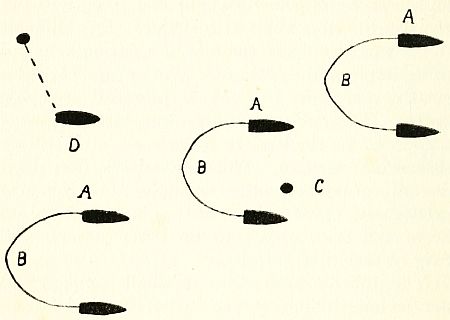 Fig. 28.—Plan showing the usual formation adopted by British minesweeping vessels.