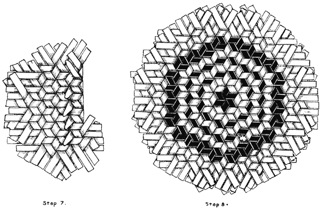 Plate XXV.