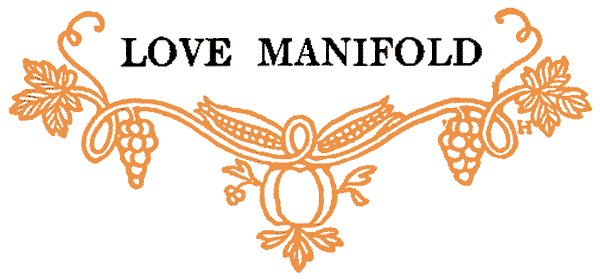 LOVE MANIFOLD