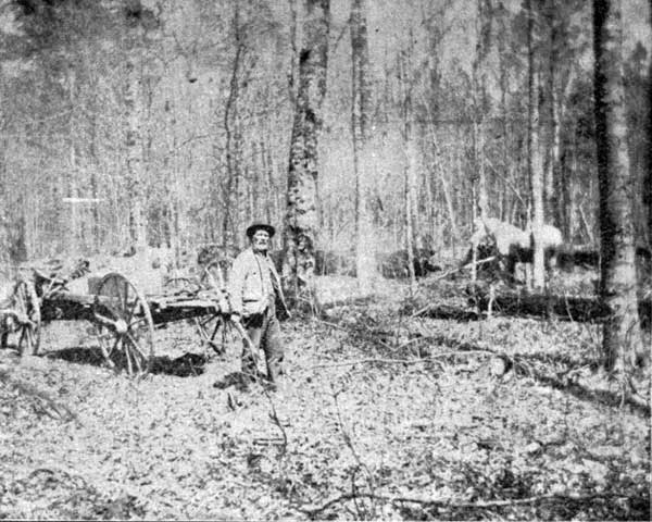 WOODCOCK FISHING ON PINE CREEK.