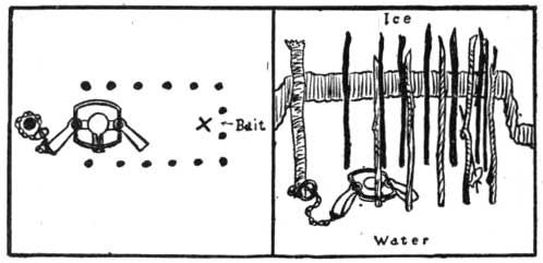 Otter Trap Set Under Ice.