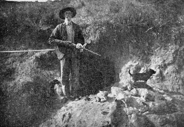 An Oklahoma Hunter with Young Coyotes Taken from Den.