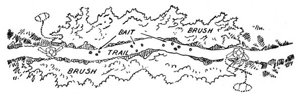 A Trail Set.