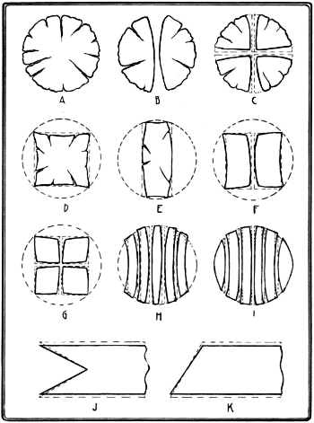 Shapes Assumed by Wood in Shrinking.