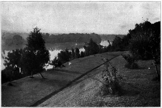 View of Pittsburg Landing