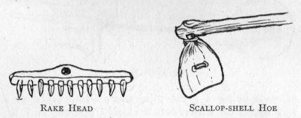 Rake Head and Scallop-shell Hoe