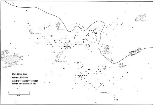 Figure 1.—The study area showing locations where wolf-killed and hunter-killed
deer were taken. Line arbitrarily separates the hunted area from
the wilderness area.