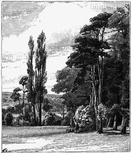 Golder's Hill,
Hampstead