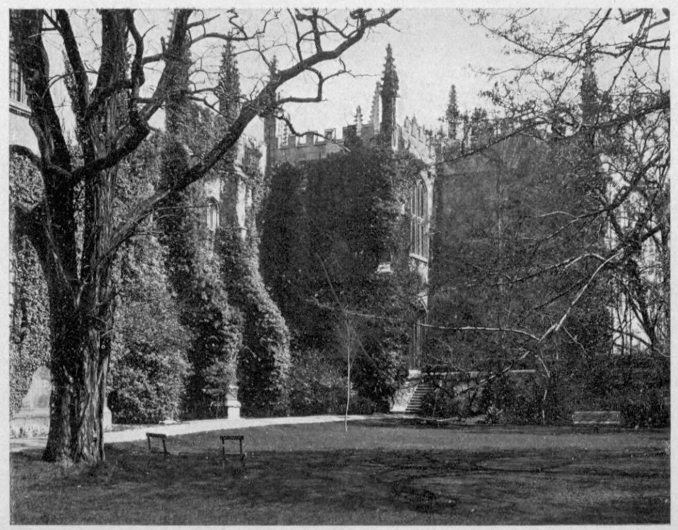 DIVINITY SCHOOL, FROM EXETER GARDENS.