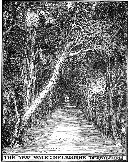 THE YEW WALK; MELBOURNE DERBYSHIRE

BY F. INIGO THOMAS.

FROM BLOMFIELD'S 'THE FORMAL GARDEN.'

BY LEAVE OF MESSRS. MACMILLAN.