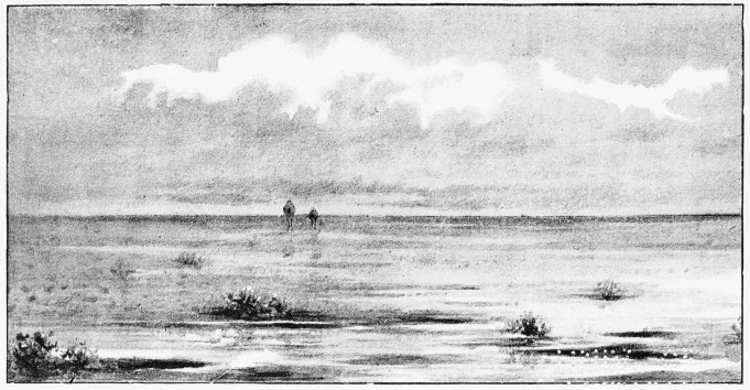 Plate XVI.

THE SPANISH WILD CAMELS—OUR FIRST SIGHT OF A PAIR IN THE MARISMA.

Page 94.