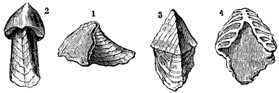 Fig. 78